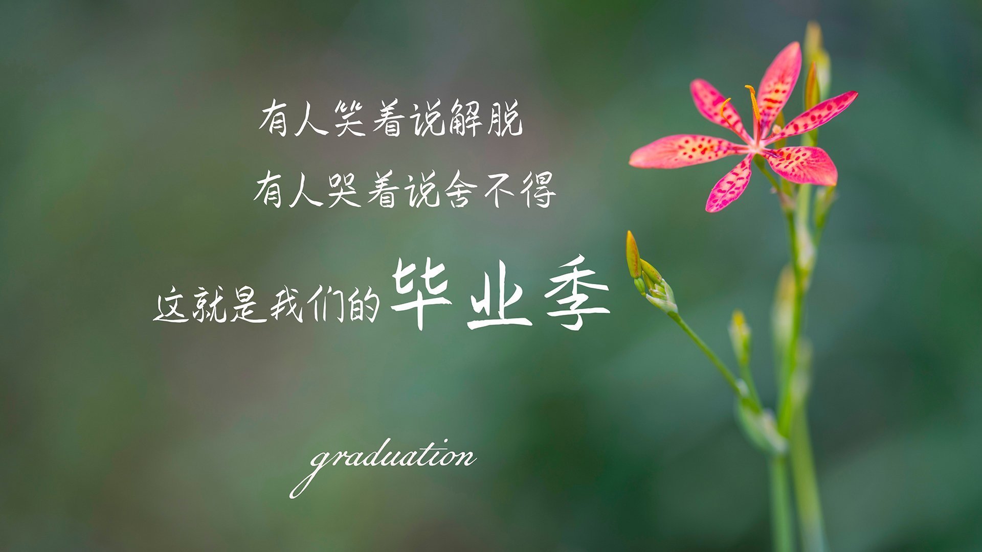 爱游戏官方入口-未来看点:2024世俱杯最期待的比赛有哪些?,2921世俱杯