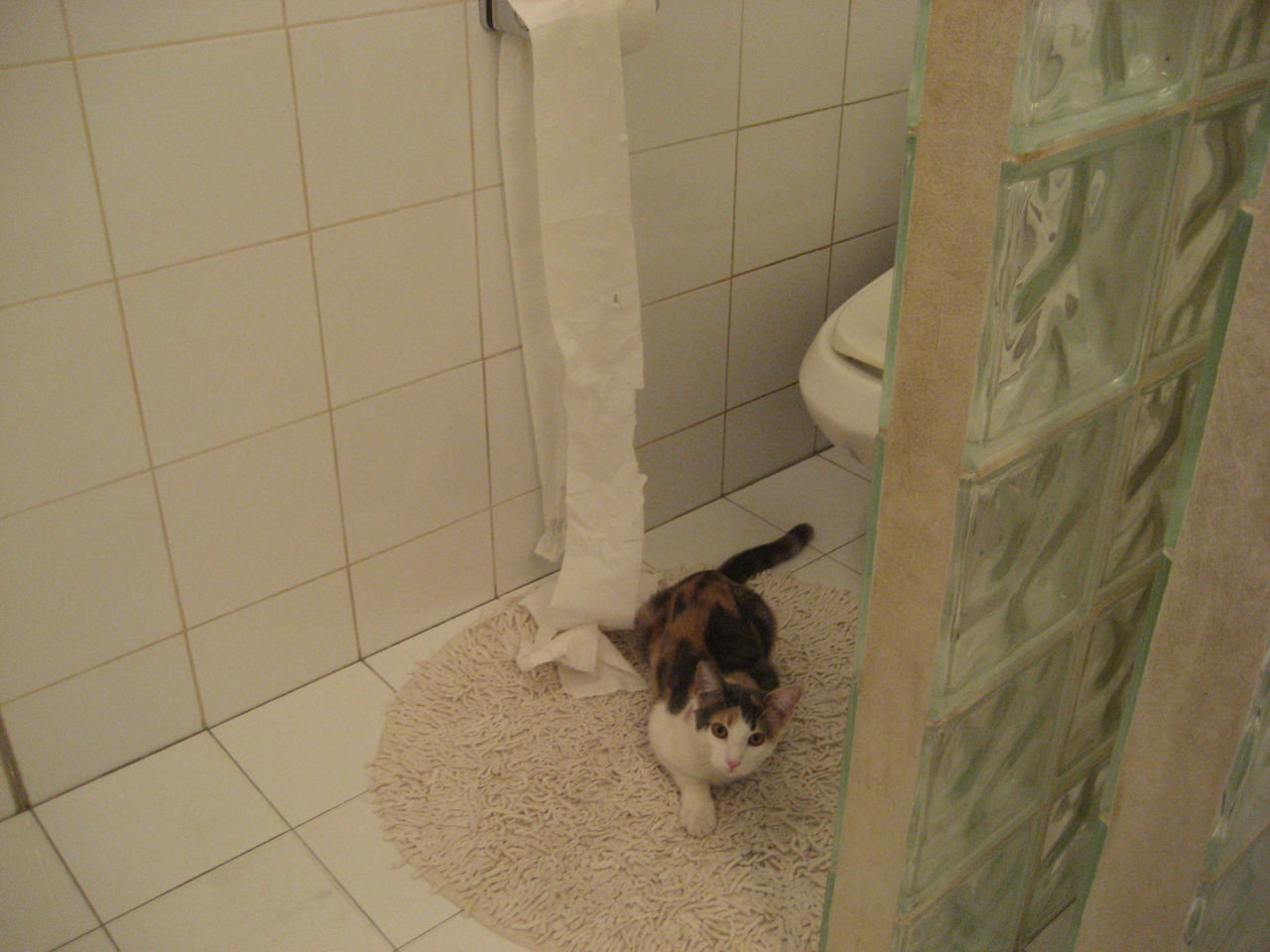 爱游戏网页版-未来之战:哪支球队最有可能打破“霸主”格局?