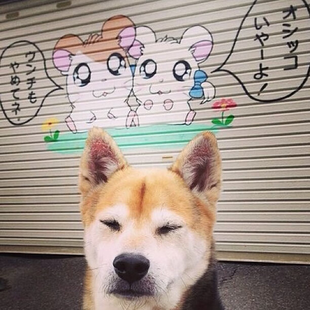 爱游戏APP-篮球运动员心理健康维护体系构建与干预措施研究,篮球心理素质