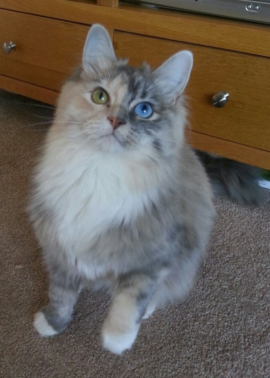 爱游戏多端接入-“高新区全民健身馆短柄墙球:快速抉择和精准攻击决定比赛走向”