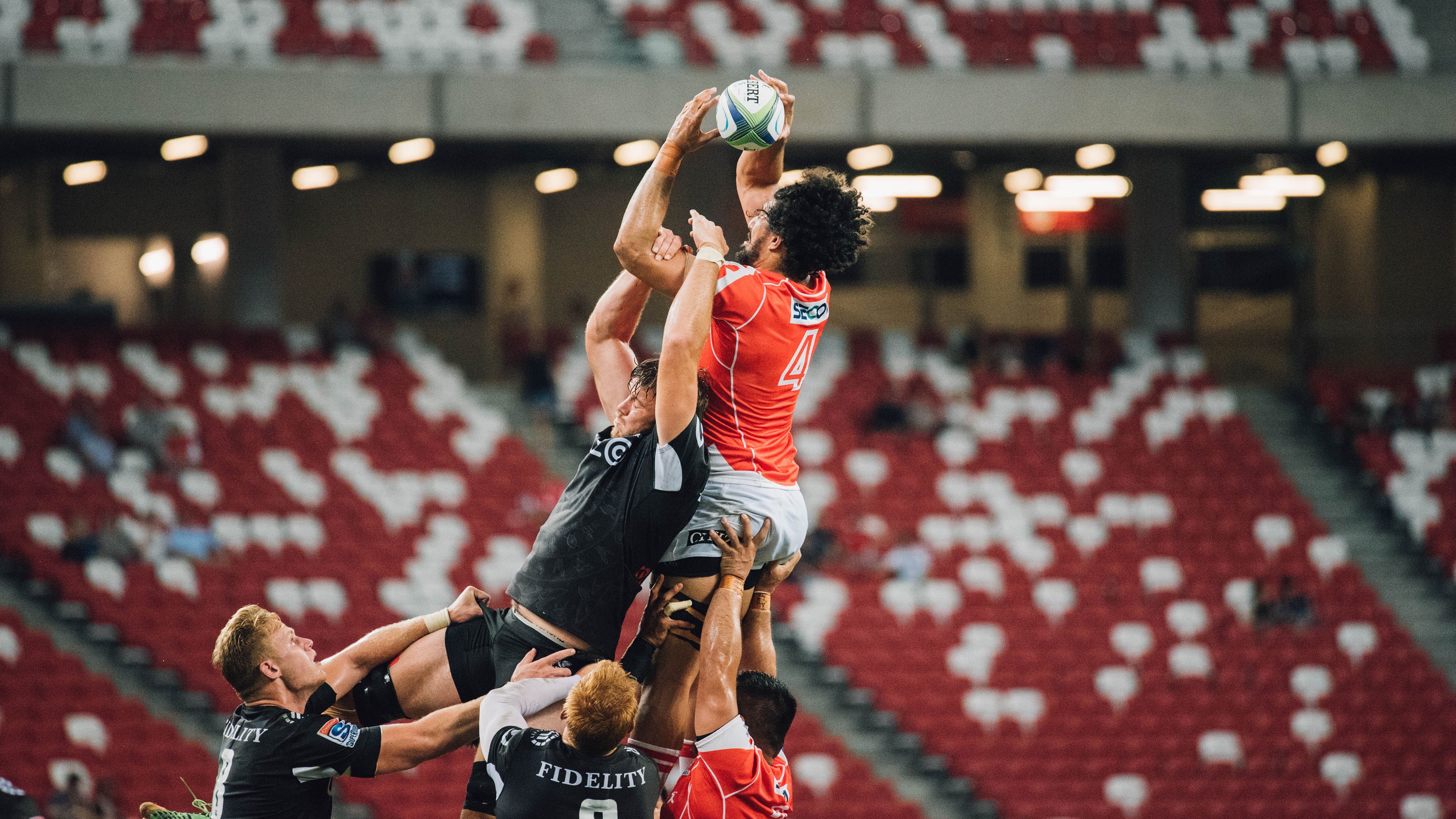 海洋生态潜水大赛,深海奇观尽收眼底,潜水海底世界海洋生物视频